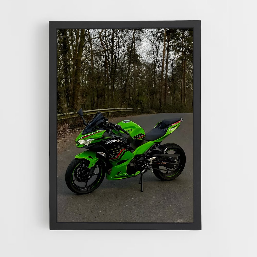 Poster Ninja Intrépide (vue 2)